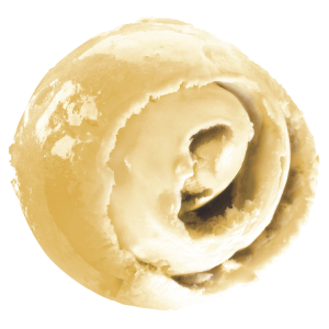 Passionfruit sorbet