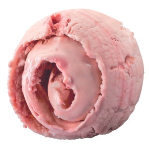 Plant-based vanilla ice cream (1)