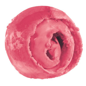 Raspberry sorbet